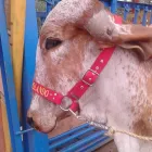 La imagen 1 de la Empresa ALMACENES LA VIOLETA Venta de Telas en Barquisimeto K