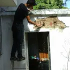 La imagen 1 de la Empresa ALPHA777, CA. Servicios en Caracas-Venezuela M