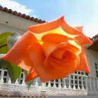 La imagen 9 de la Empresa ASESORÍA INMOBILIARIA MFDINERO Asesoría Inmobiliaria en Caracas M