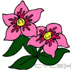 La imagen 1 de la Empresa BORDADO DIGITAL CA Venta de Uniformes en Maracaibo V