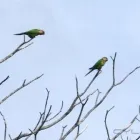 La imagen 12 de la Empresa CASA CAMPESTRE VACACIONAL MI REFUGIO Viajes y Vacaciones en Barquisimeto K
