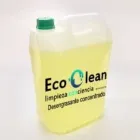 La imagen 3 de la Empresa ECOCLEAN2019 servicio de limpieza profunda en Valencia G