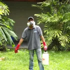 La imagen 1 de la Empresa ECOSERVICE CONTROL DE PLAGAS Pulgas en Caracas M