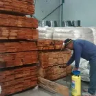 La imagen 1 de la Empresa FUMIGACIONES LUDMAR Turmero en Maracay D