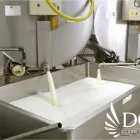 La imagen 21 de la Empresa GRUPO DCD, C.A. Yogurt en Maracaibo V