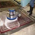 La imagen 2 de la Empresa GUSTALFOMBRA Servicio de Limpieza en Maracaibo V