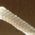 La imagen 12 de la Empresa HILOSA C.A. Polipropileno en Caracas M