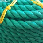 La imagen 13 de la Empresa HILOSA C.A. Polipropileno en Caracas M