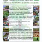 La imagen 7 de la Empresa INGENIERÍA VERDE, C.A. Paisajismo en Maracaibo V