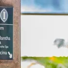 La imagen 28 de la Empresa INTERCONTINENTAL MARACAIBO en Maracaibo V