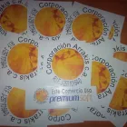 La imagen 2 de la Empresa LANPUBLIPRINT C.A. Vinyl en Maracay D