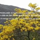 La imagen 5 de la Empresa MILAGROS FERNANDEZ  - MFDINERO Venezuela en Caracas M