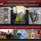 La imagen 2 de la Empresa MULTISERVICIOS PROTEGER Revestimientos en Maracaibo V