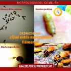 La imagen 3 de la Empresa MULTISERVICIOS PROTEGER Revestimientos en Maracaibo V