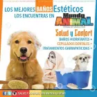 La imagen 3 de la Empresa MUNDO ANIMALX Veterinario en Maracaibo V