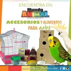 La imagen 4 de la Empresa MUNDO ANIMALX Veterinario en Maracaibo V