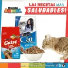 La imagen 6 de la Empresa MUNDO ANIMALX Veterinario en Maracaibo V