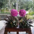 La imagen 6 de la Empresa ORGANIZACION ESMERALDA Toldos en Caracas M