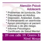 La imagen 1 de la Empresa PSICOLOGA SURVELYS ROJAS Terapia en Barquisimeto K