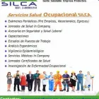 La imagen 1 de la Empresa SALUD INTEGRAL LABORAL SILCA Vacacionales en Valencia G