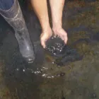 La imagen 4 de la Empresa SERVICIOS GENERALES OMI 2013,M C. A. Mantenimiento de Tanques Agua Potable en Caracas M