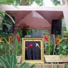 La imagen 11 de la Empresa SONIDO CARACAS Musica para Matrimonio en Caracas M