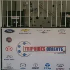 La imagen 1 de la Empresa TRIPOIDES ORIENTE, C.A. Venta de Tripoides en Maturín N