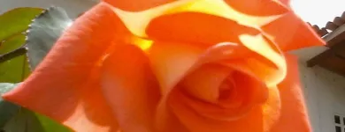 La imagen 9 de la Empresa ASESORÍA INMOBILIARIA MFDINERO Asesoría Inmobiliaria en Caracas M