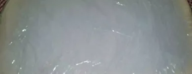 La imagen 22 de la Empresa ENVIPLASTI CA Viruta de Glicerina en Santa Cruz D