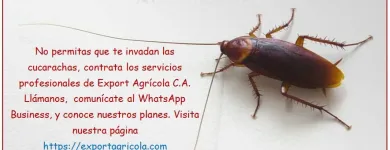 La imagen 3 de la Empresa EXPORT AGRÍCOLA C.A veneno en Maracay D