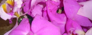 La imagen 7 de la Empresa MILAGROS FERNANDEZ  - MFDINERO Venezuela en Caracas M