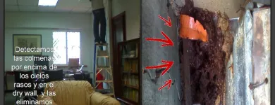 La imagen 1 de la Empresa MULTISERVICIOS PROTEGER Revestimientos en Maracaibo V