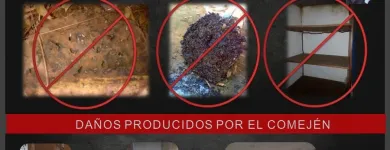 La imagen 4 de la Empresa MULTISERVICIOS PROTEGER Revestimientos en Maracaibo V
