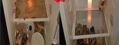 La imagen 16 de la Empresa MULTISERVICIOS VENESERVI 3000 C.A Ventas en Caracas M