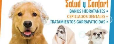 La imagen 3 de la Empresa MUNDO ANIMALX Veterinario en Maracaibo V