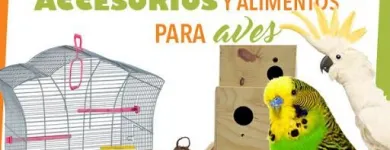 La imagen 4 de la Empresa MUNDO ANIMALX Veterinario en Maracaibo V