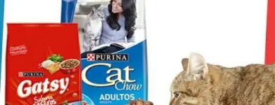 La imagen 6 de la Empresa MUNDO ANIMALX Veterinario en Maracaibo V