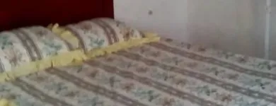 La imagen 1 de la Empresa POSADA BARARIDA BARQUISIMETO Posada en Barquisimeto K