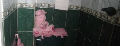 La imagen 7 de la Empresa REMODELACIONES TEJADA Ventanas en Caracas M