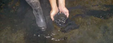 La imagen 4 de la Empresa SERVICIOS GENERALES OMI 2013,M C. A. Mantenimiento de Tanques Agua Potable en Caracas M