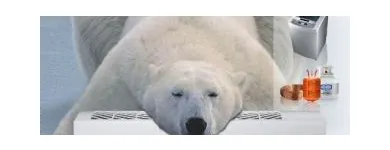 La imagen 5 de la Empresa VISUALMARKETING 3.0 Publicidad en Caracas M