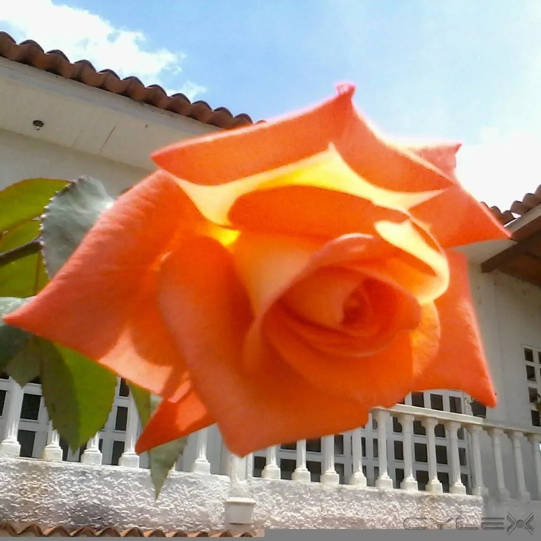 La imagen 9 de la Empresa ASESORÍA INMOBILIARIA MFDINERO