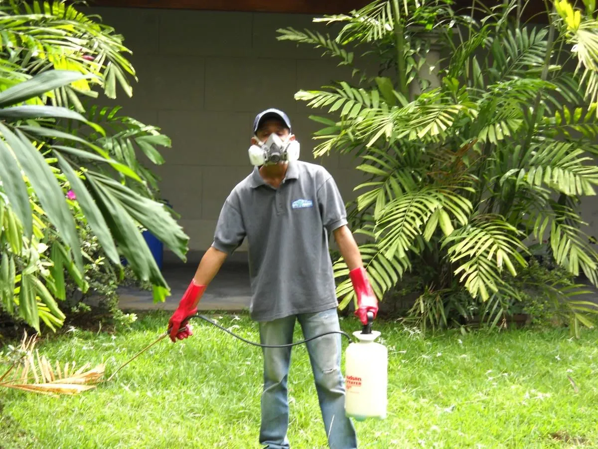 La imagen 1 de la Empresa ECOSERVICE CONTROL DE PLAGAS