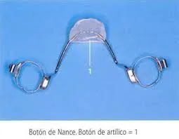 La imagen 11 de la Empresa MECANICA DENTAL