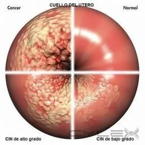 La imagen 3 de la Empresa SONOSALUD 2012, C.A.