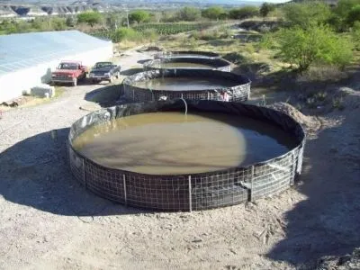 La imagen 2 de la Empresa INVERSIONES UZCATEGUI CREATIVO