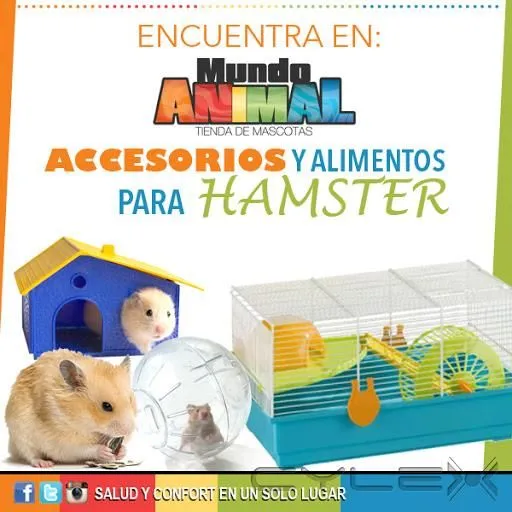 La imagen 5 de la Empresa MUNDO ANIMALX