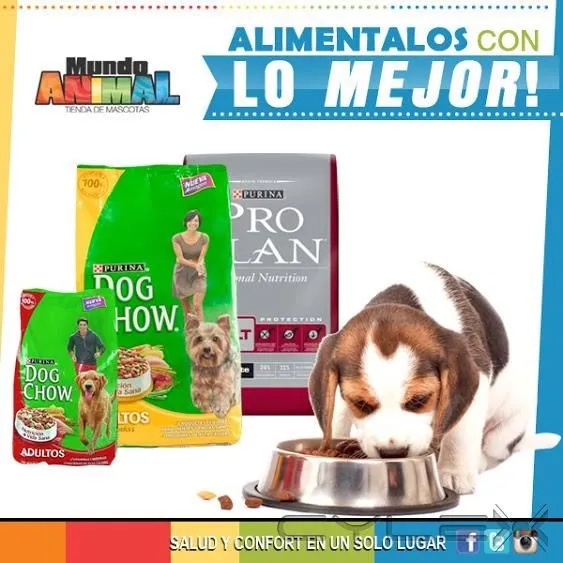 La imagen 7 de la Empresa MUNDO ANIMALX