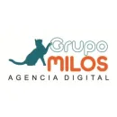 GRUPO MILOS C. A. - DISEÑO WEB Tienda Virtual en Naguanagua G