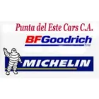 PUNTA DEL ESTE CARS C.A.-REPUESTOS DEL AUTOMOTOR